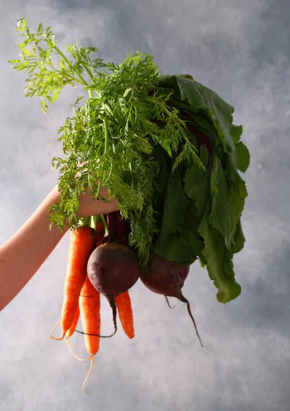 Zanahorias Orgánicas Frescas Para Una Dieta Saludable — Foto de Stock