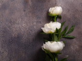 Картина, постер, плакат, фотообои "still life peonies flowers for background and decoration", артикул 376878594
