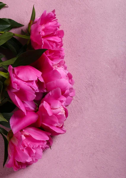 Bodegón Peonías Flores Para Fondo Decoración —  Fotos de Stock