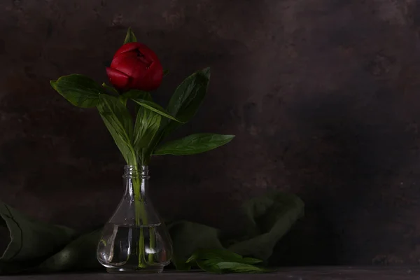 Stilleben Pioner Blommor För Bakgrund Och Dekoration — Stockfoto