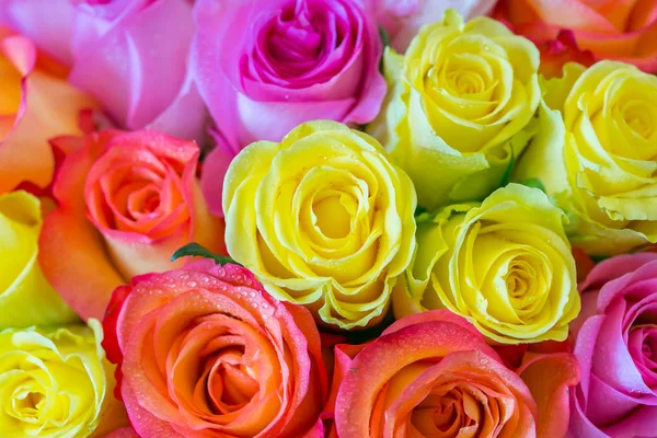 Ramo de rosas multicolores para ceremonia de boda —  Fotos de Stock