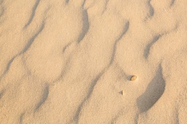 Kum doku içinde sabah koh lanta, Thailand