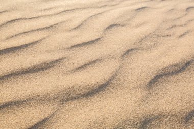 Kum doku içinde sabah koh lanta, Thailand