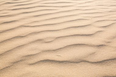 Kum doku içinde sabah koh lanta, Thailand