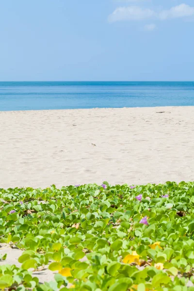 Vista del mar de andaman en Tailandia (isla de koh lanta ) —  Fotos de Stock