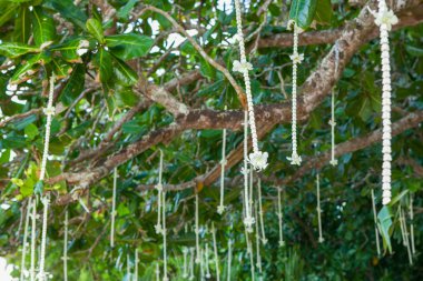 Çiçek süslemeleri Tayland sahilde düğün