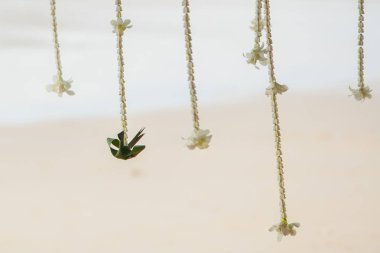 Düğün çiçek süslemeleri 