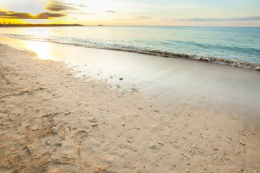 bir plaj gün batımına bakış