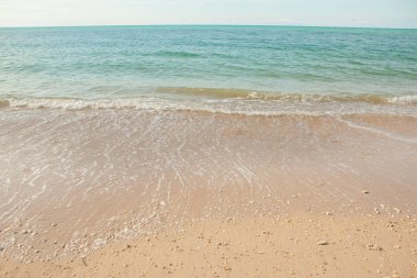 Deniz dalgası kumsalda