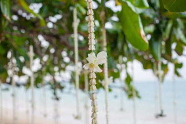 Çiçek süslemeleri Tayland sahilde düğün