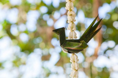 Düğün çiçek süslemeleri 