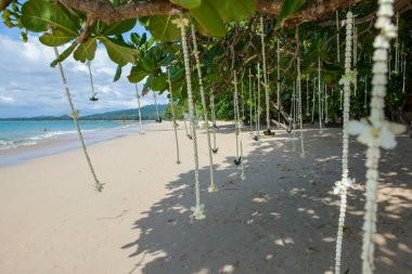 Düğün çiçek süslemeleri 