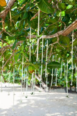 Çiçek süslemeleri Tayland sahilde düğün