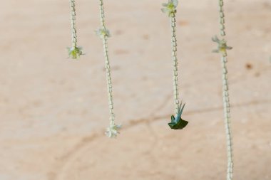 Düğün çiçek süslemeleri 