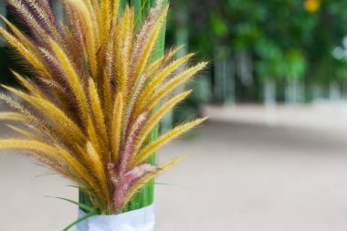 Çiçek süslemeleri Tayland sahilde düğün