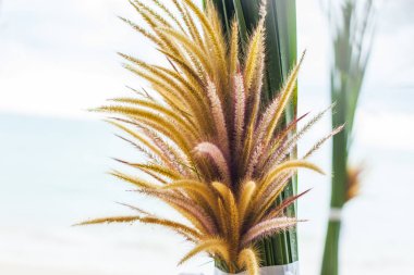 Çiçek süslemeleri Tayland sahilde düğün