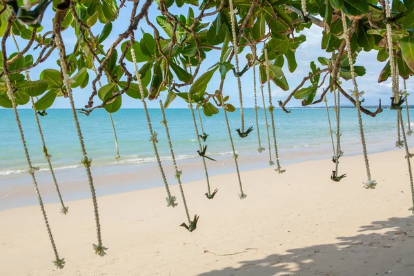 Düğün çiçek süslemeleri 