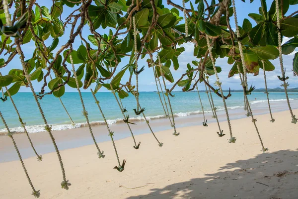 Çiçek süslemeleri Tayland sahilde düğün