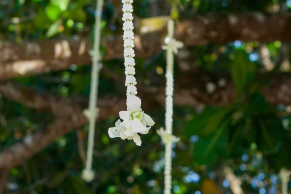 Bröllop blommor dekorationer — Stockfoto