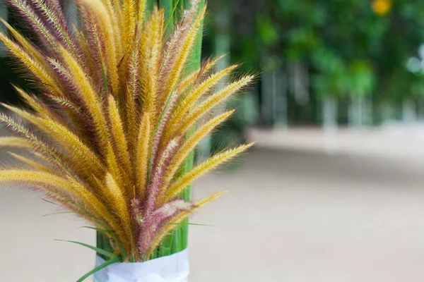 Çiçek süslemeleri Tayland sahilde düğün