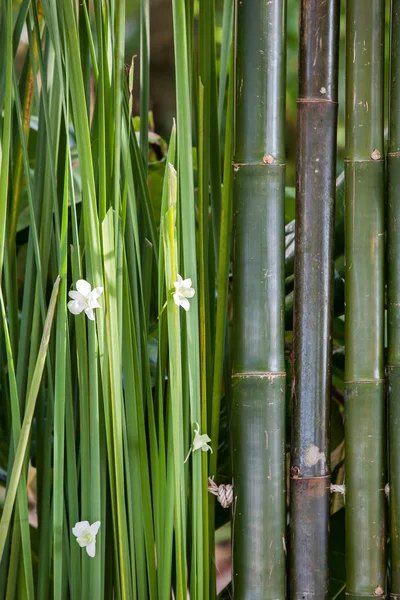 Matrimonio decorazioni floreali sulla spiaggia in Thailandia — Foto Stock