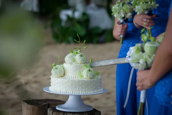 Bruiloft Snijden Van Een Bruidstaart Trouwdag — Stockfoto