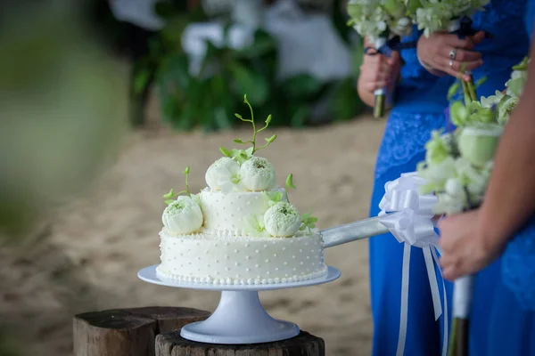 Anschneiden einer Hochzeitstorte — Stockfoto