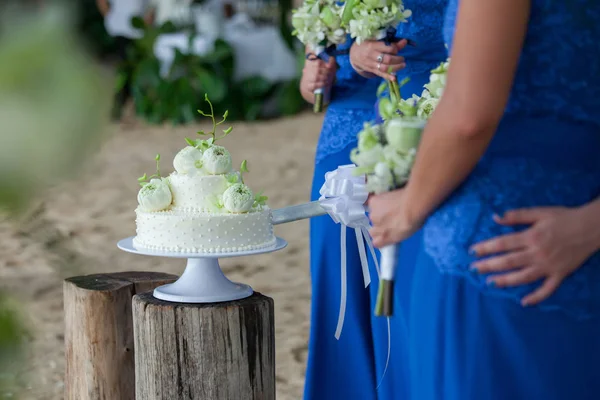 Couper un gâteau de mariage — Photo