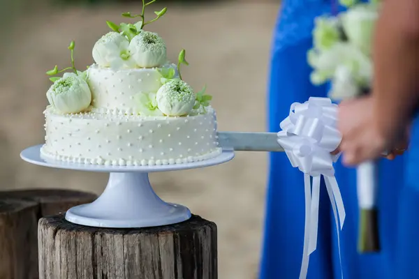 結婚式の日にウェディングケーキを切る — ストック写真