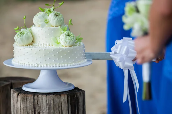 Cortar um bolo de casamento — Fotografia de Stock