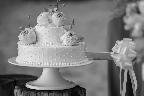 Düğün pastası keserek — Stok fotoğraf