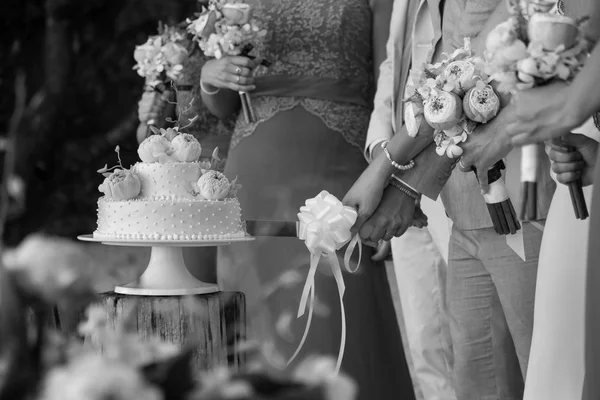 Anschneiden einer Hochzeitstorte — Stockfoto