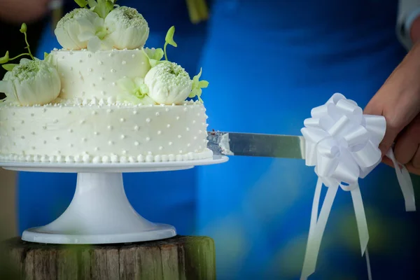 Couper un gâteau de mariage — Photo