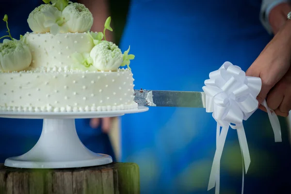 Een wedding cake snijden — Stockfoto