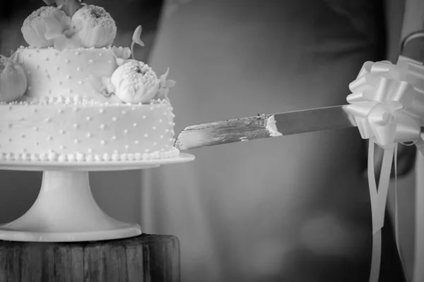 Cutting a wedding cake — Stock Photo, Image