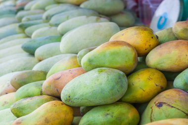 Mango mağazası Malezya 'ya giderken