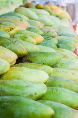 Mango mağazası Malezya 'ya giderken