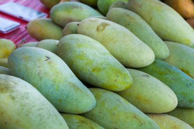 Mango mağazası Malezya 'ya giderken