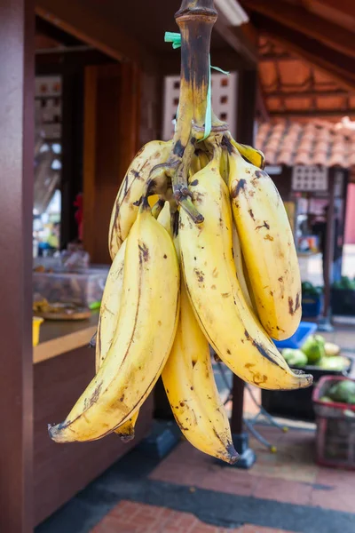 Färsk mogen massa bananer. — Stockfoto