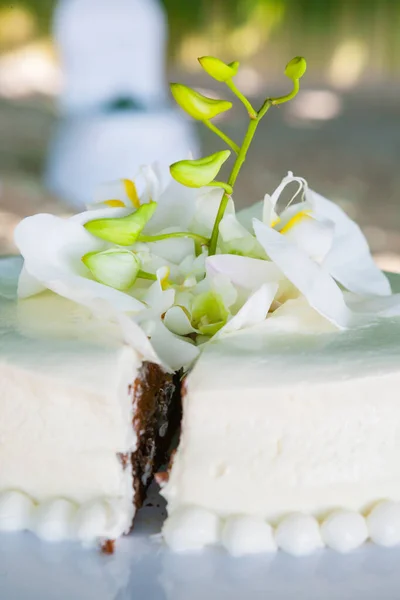 Matrimonio Taglio Una Torta Nuziale Giorno Del Matrimonio — Foto Stock