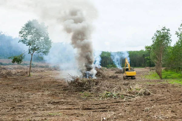 Egy Gumiültetvényen Dolgozó Traktor Thaiföld — Stock Fotó
