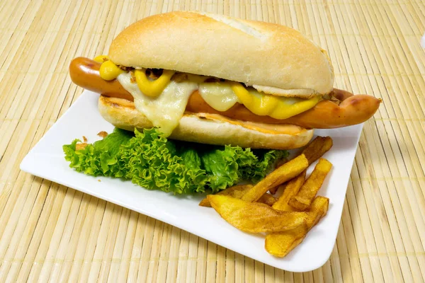Hot Dog Gourmet Con Mostaza Ensalada — Foto de Stock