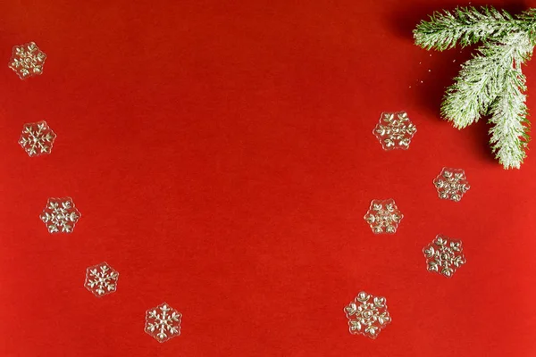 Snöig kvist av tall och snöflingor isolerad på röd bakgrund. Begreppet jul och nytt år. — Stockfoto