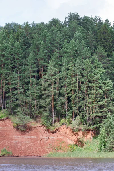 Dense forest are growing on the banks of a beautiful blue river. Live nature.