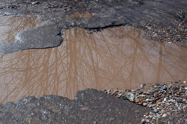 Çukur Suyla Dolu Asfalt Bir Yol Tehlikeli Yol Yatağı Yok — Stok fotoğraf