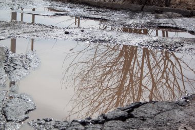 Çukur suyla dolu, asfalt bir yol. Tehlikeli yol yatağı yok edildi. Sudaki ayna yansıma ağaçları.