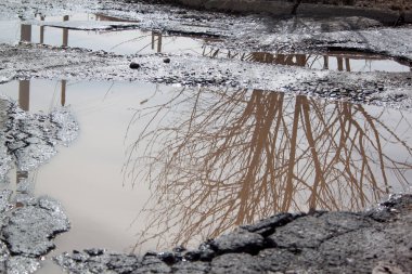 Çukur suyla dolu, asfalt bir yol. Tehlikeli yol yatağı yok edildi. Sudaki ayna yansıma ağaçları.