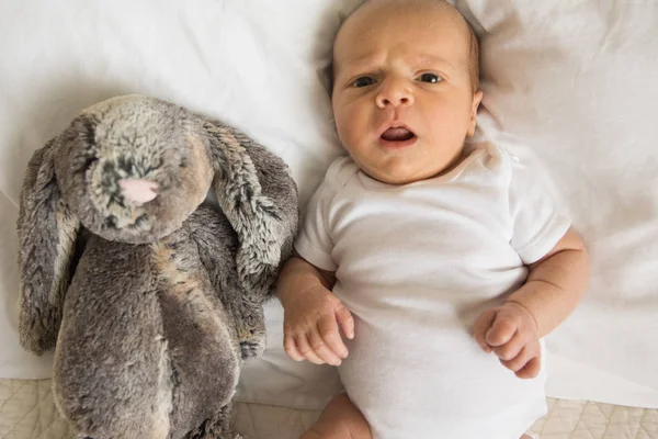 Monthly portrait of baby boy — Stock Photo, Image