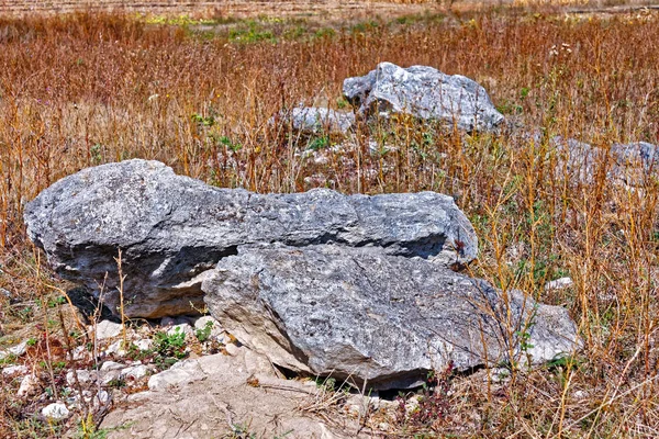 Big limestone stones among dread grass in autumn — Stock Photo, Image