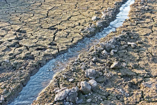 Wasserlauf zwischen ausgetrockneten rissigen Böden — Stockfoto